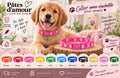 Collier pour chien réglable à motifs pattes – Plusieurs coloris