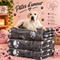 🐾 Plaid douillet pour chien – Pâtes d’amour 🐶💕