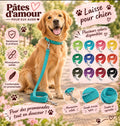 Laisse pour chien réglable – Plusieurs coloris – Solide & confortable