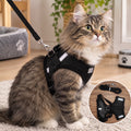 🐱🖤 Harnais avec laisse pour chat – Pâtes d’amour 🐾