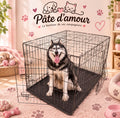 Cage de transport pliable pour chien et chat – Pâte d’amour