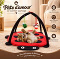 Tapis de jeu pour chat – Aire de jeu interactive Pâte d’amour