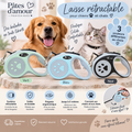🐾 Laisse Rétractable pour Chiens & Chats – 3 Couleurs