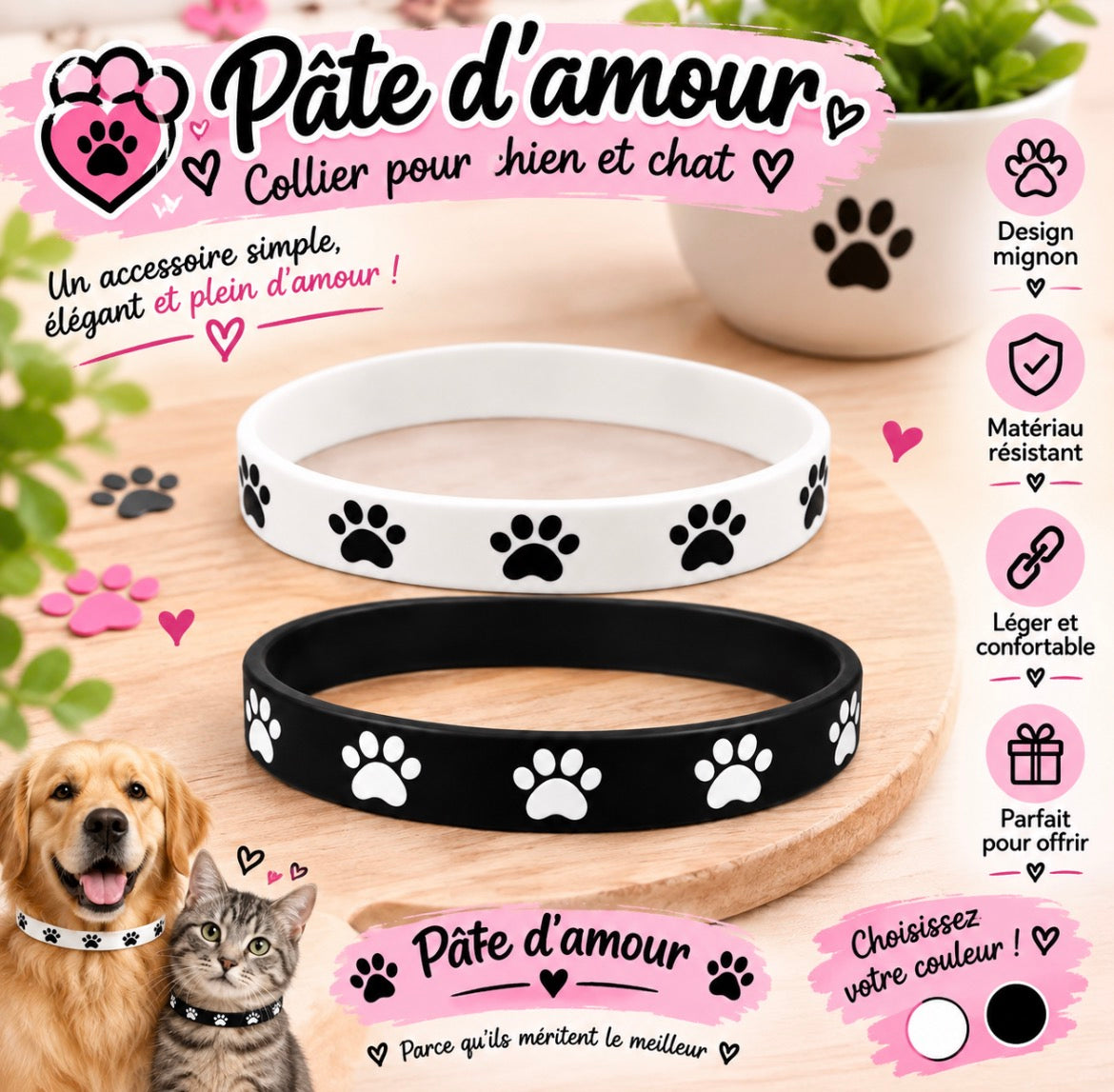 🐾 Bracelets pour animaux